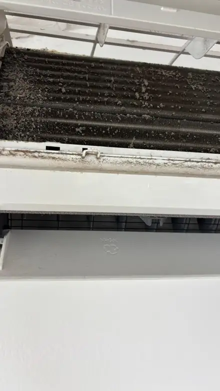 Detalle de suciedad acumulada en una batería interior