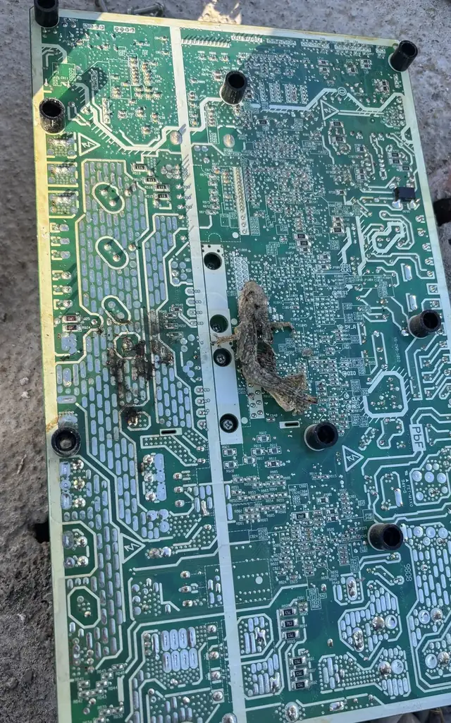 Placa electrónica quemada retirada de un equipo